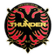 Dandenong Thunder FC logo