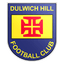 Dulwich Hill FC logo