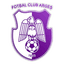 ACS Campionii FC Argeş logo