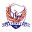 Valentine Phoenix FC logo