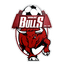 Banyule City logo