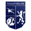 Diamond Valley United logo