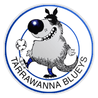 Tarrawanna FC