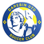 Darebin United Apollo SC logo