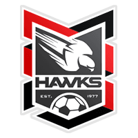 Holland Park Hawks