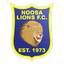 Noosa Lions FC logo