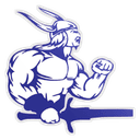 Sebastopol Vikings