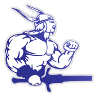 Sebastopol Vikings SC