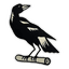 Nerimbera FC logo