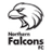 Northern Falcons