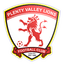 Plenty Valley Lions FC logo
