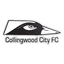 Collingwood City FC logo