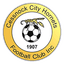 Cessnock City Hornets logo