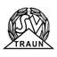Sportverein Traun logo