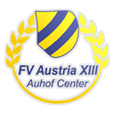 FV Austria XIII