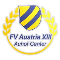 Fussballverein Austria XIII