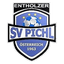 Sportverein Pichl 1963 logo