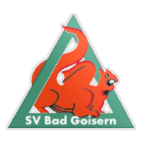 Sportverein Bad Goisern