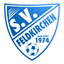 Sportverein Feldkirchen bei Graz logo
