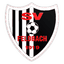 Sportverein Feldbach logo