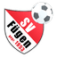 Sportverein Fügen logo
