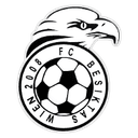 FC Besiktas Wiener Adler