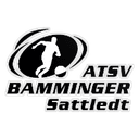 ATSV Sattledt Juniors