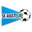 Sportklub  Amateure Steyr logo