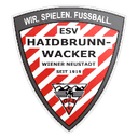 ESV HW Wr. Neustadt