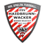 Eisenbahner SV Haidbrunn-Wacker Wiener Neustadt logo