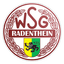 Werkssportgemeinschaft Radenthein logo
