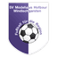 Sportverein Windischgarsten logo