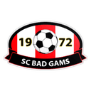 SC Bad Gams