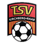 Turn- und Sportverein Kirchberg/Raab logo