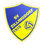 Sportverein Zillingdorf logo
