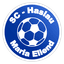 Sportclub Haslau/Maria Ellend logo