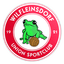 Union Sportclub Wilfleinsdorf logo