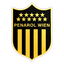 Penarol Wien logo