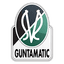 Sportvereinigung Ried II logo