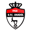 KFC Anadol logo