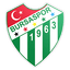 Bursaspor logo