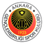 Gençlerbirliği logo