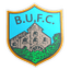 Ballynahinch United logo