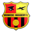 Broomhedge Maghaberry logo