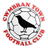Cwmbran Town