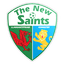 The New Saints logo