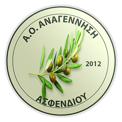 AO Anagennisi Asfendiou