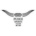 Puhoi