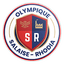 Olympique Salaise Rhodia logo