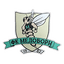 FC Medobory Zelene logo